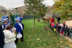 IMG-20201116-WA0011-1