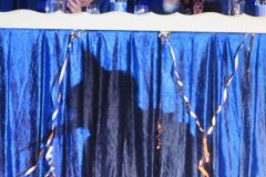 IMG_4134-e1488744434671-773x1030